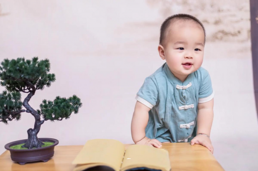 广西可爱的企鹅宝宝